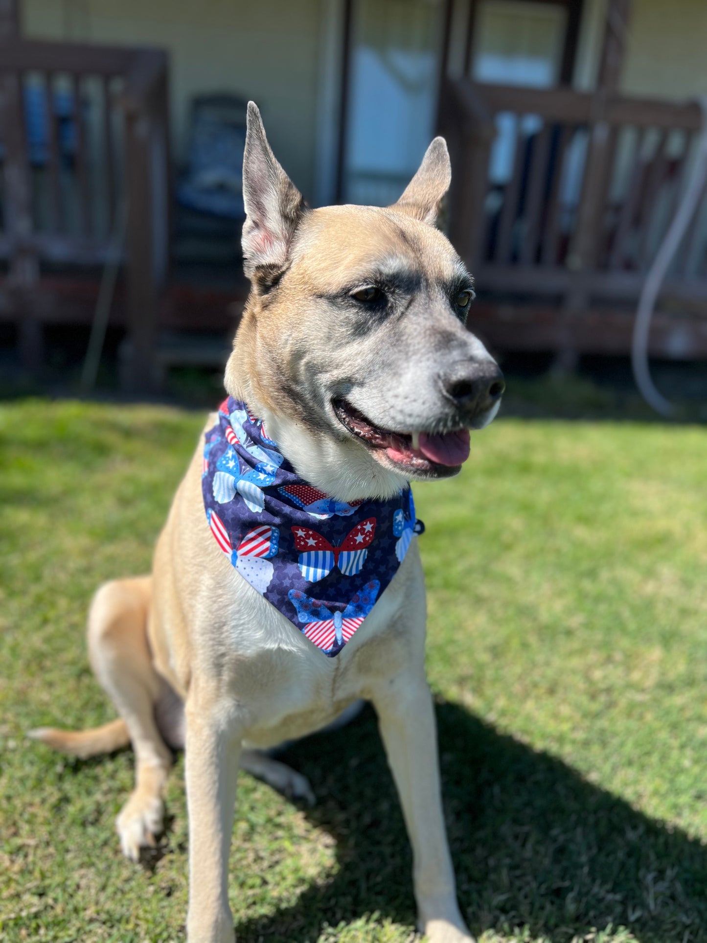 American Freedom dog bandana